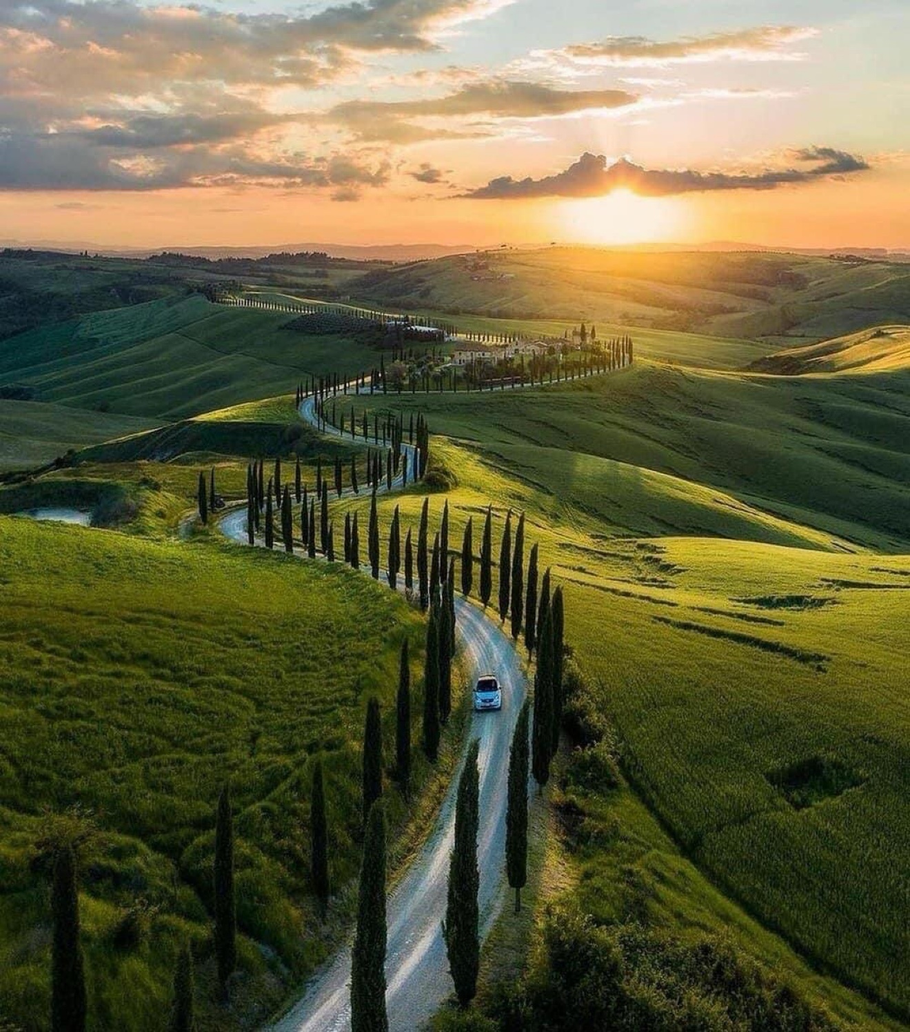 Cypress-lined country road in Tuscany at sunset with a car driving