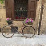 A vintage bicycle with flower baskets outside a stone house in Laguardia, Spain