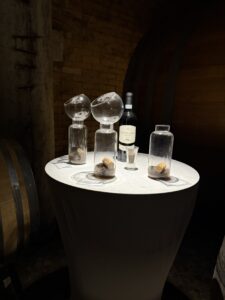 Barbera d'Alba Superiore 2019, ready to taste