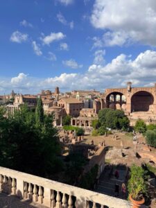 The Roman Forum from above