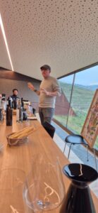 Learning the wines of Piedmont