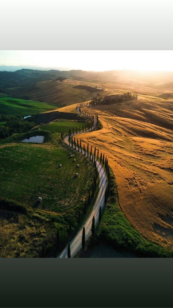 A winding cypress-lined road through the golden hills of Tuscany at sunset