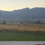 Vineyards beneath the Sierra Cantabria in Rioja Alavesa at dusk