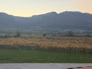 Vineyards beneath the Sierra Cantabria in Rioja Alavesa at dusk