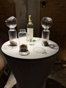 Tasting Cayega Roero Arneis 2022