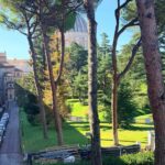 St. Peter's dome through the pines