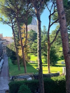 St. Peter's dome through the pines