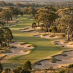 A classic sandbelt golf course near Melbourne, sculpted bunkers and gum trees in warm afternoon light