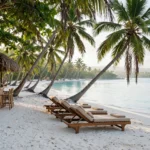 White sand and palm trees on the beach at Punta Cana in the Dominican Republic